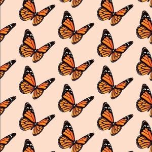 Meet your Posher, Julia